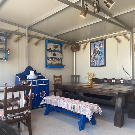 ホテル Casa Soarelui ムリギオル エクステリア 写真