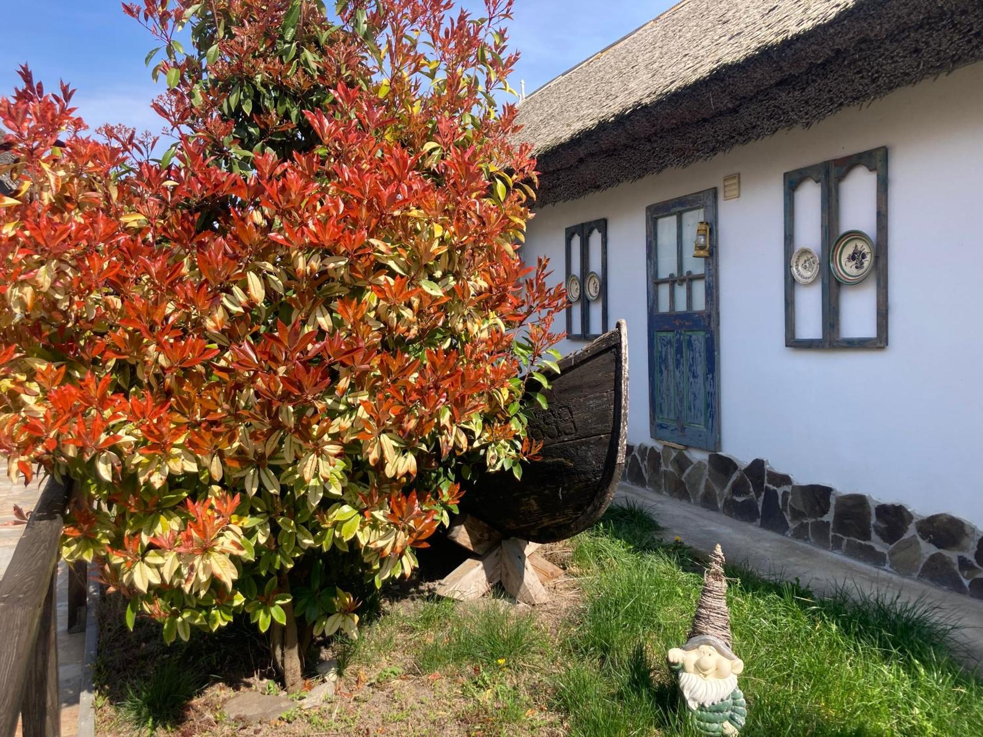 ホテル Casa Soarelui ムリギオル エクステリア 写真