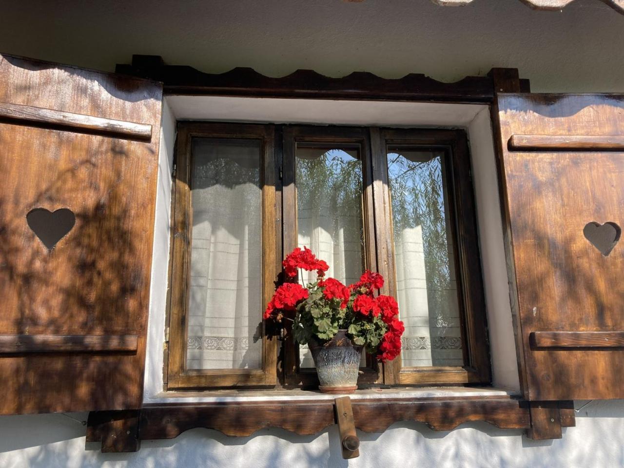 ホテル Casa Soarelui ムリギオル エクステリア 写真